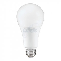 A19 LED Light Bulb - 16W