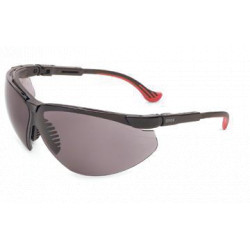 Safety Glasses - Anti-Fog Gray - Black / S3301X *GENESIS XC