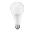 A19 LED Light Bulb - 16W