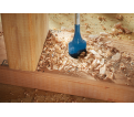 1/2 In. x 6 In. Daredevil™ Standard Spade Bits